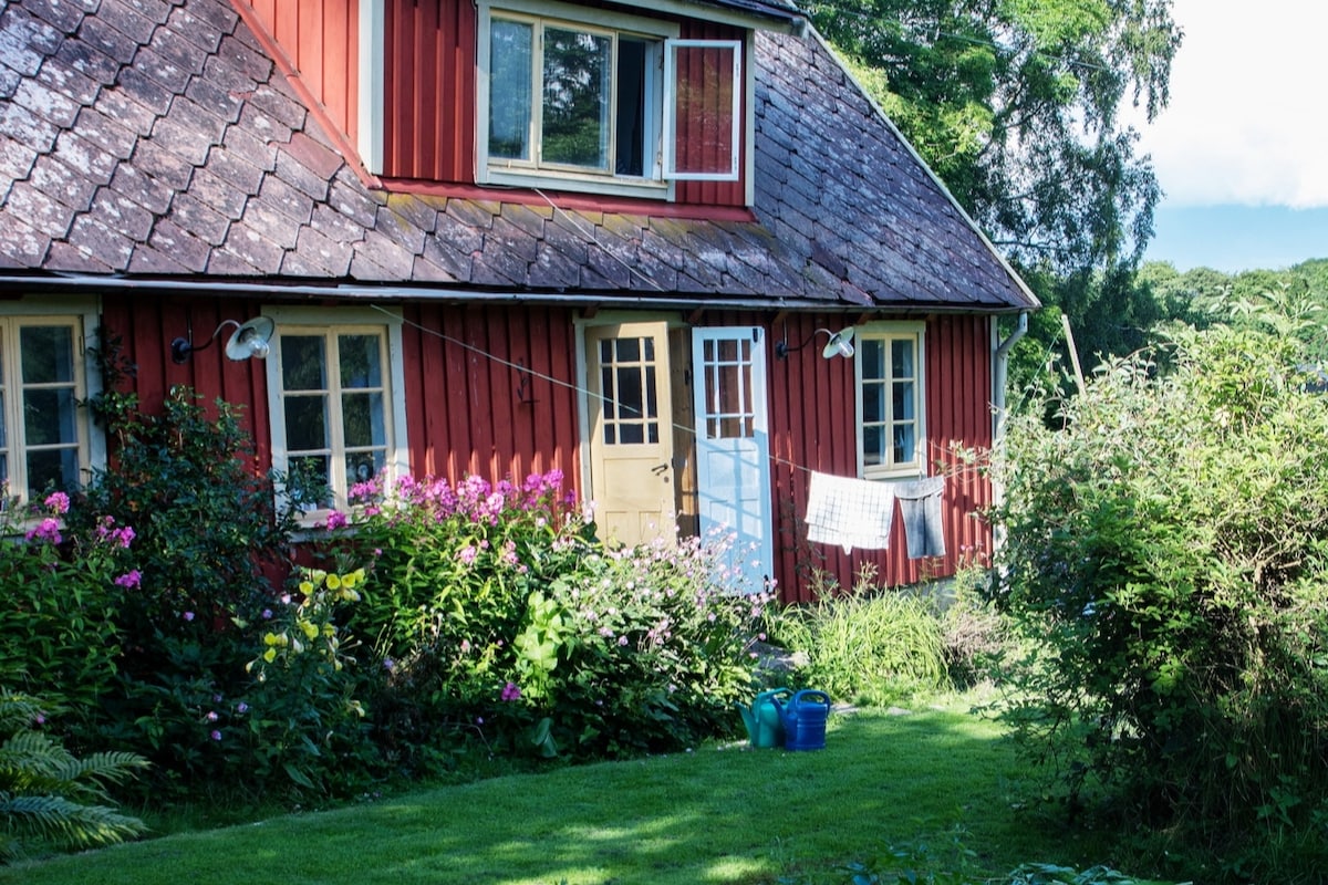 A charming red traditional farmhouse is set amidst lush greenery, featuring flowering plants along the entrance. The structure showcases multiple windows, and sun-soaked areas are highlighted by a clothesline and blue buckets placed on the vibrant lawn.