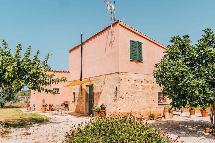 Listing in Santa Margalida