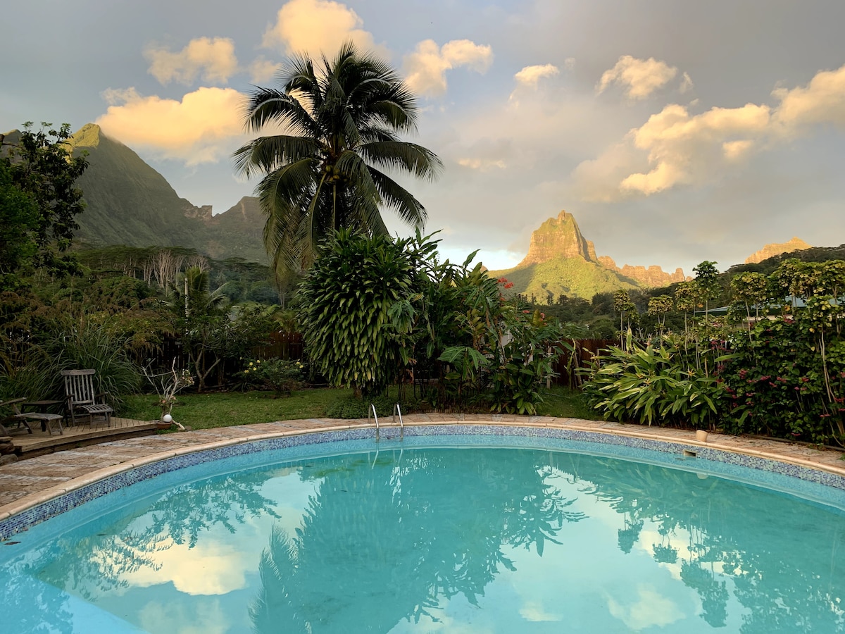 A clear blue pool is set against a backdrop of lush green gardens and majestic mountains. Towering palm trees frame the scene, with soft clouds casting gentle shadows over the landscape. The calm water reflects the surrounding nature, creating a serene atmosphere.