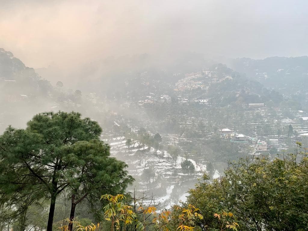 A misty landscape reveals rolling hills and densely forested areas. The image captures a serene view of Kasauli with soft clouds enveloping the mountains, and trees partially obscured in the foreground enhance the tranquility of the scene. Subtle details of buildings can be discerned in the distance.
