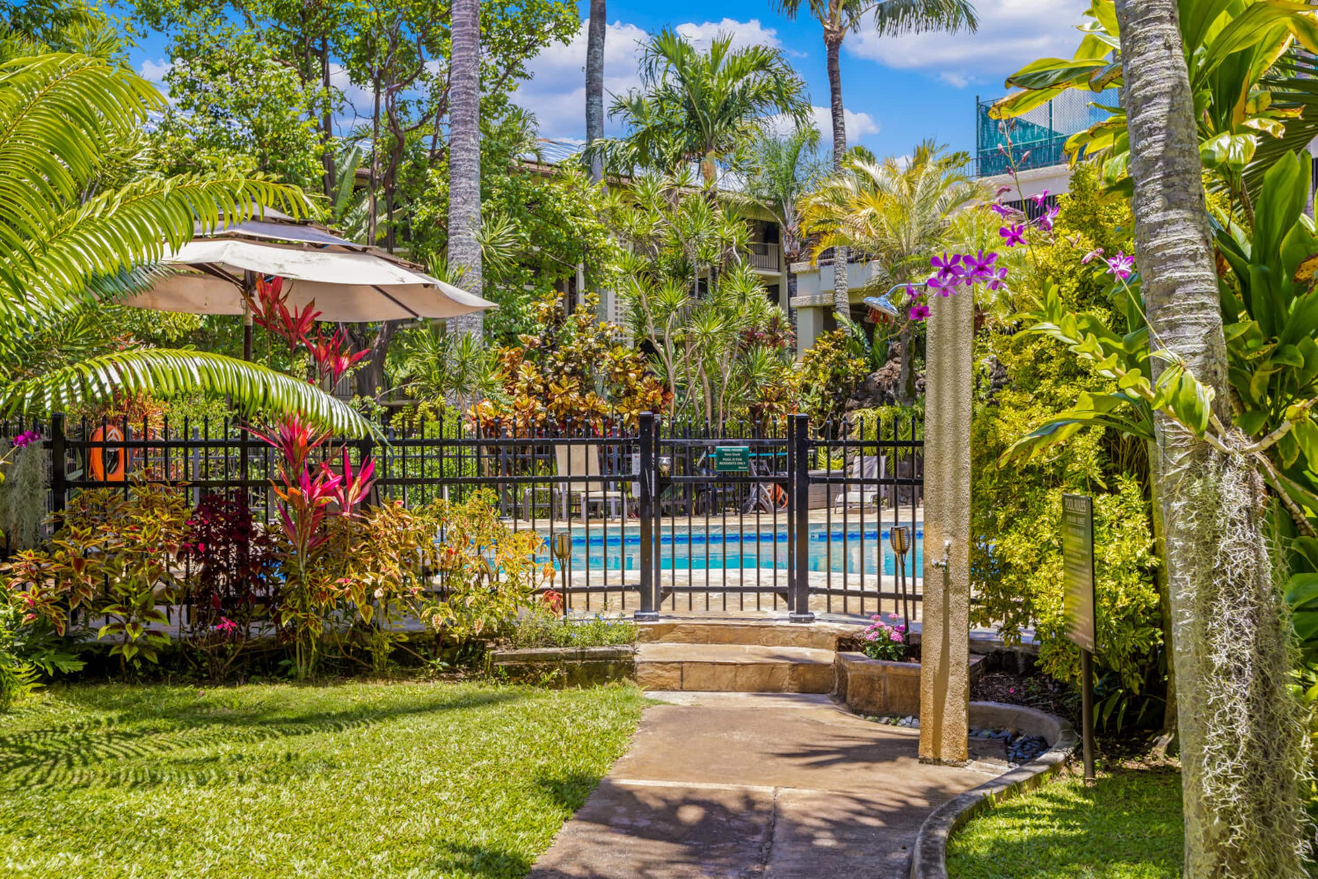 Prince Kuhio 336 Garden view studio - Photo 5