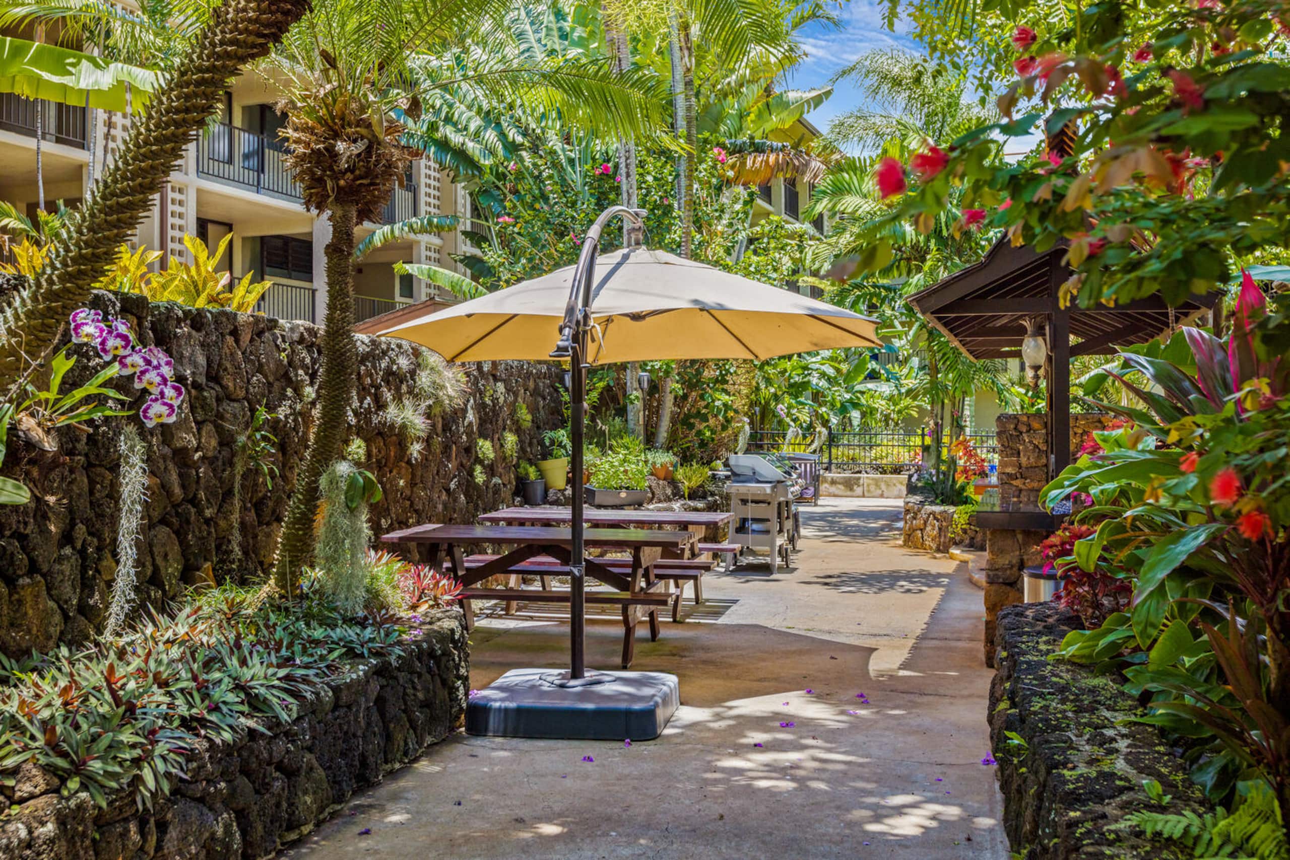Prince Kuhio 336 Garden view studio - Photo 13