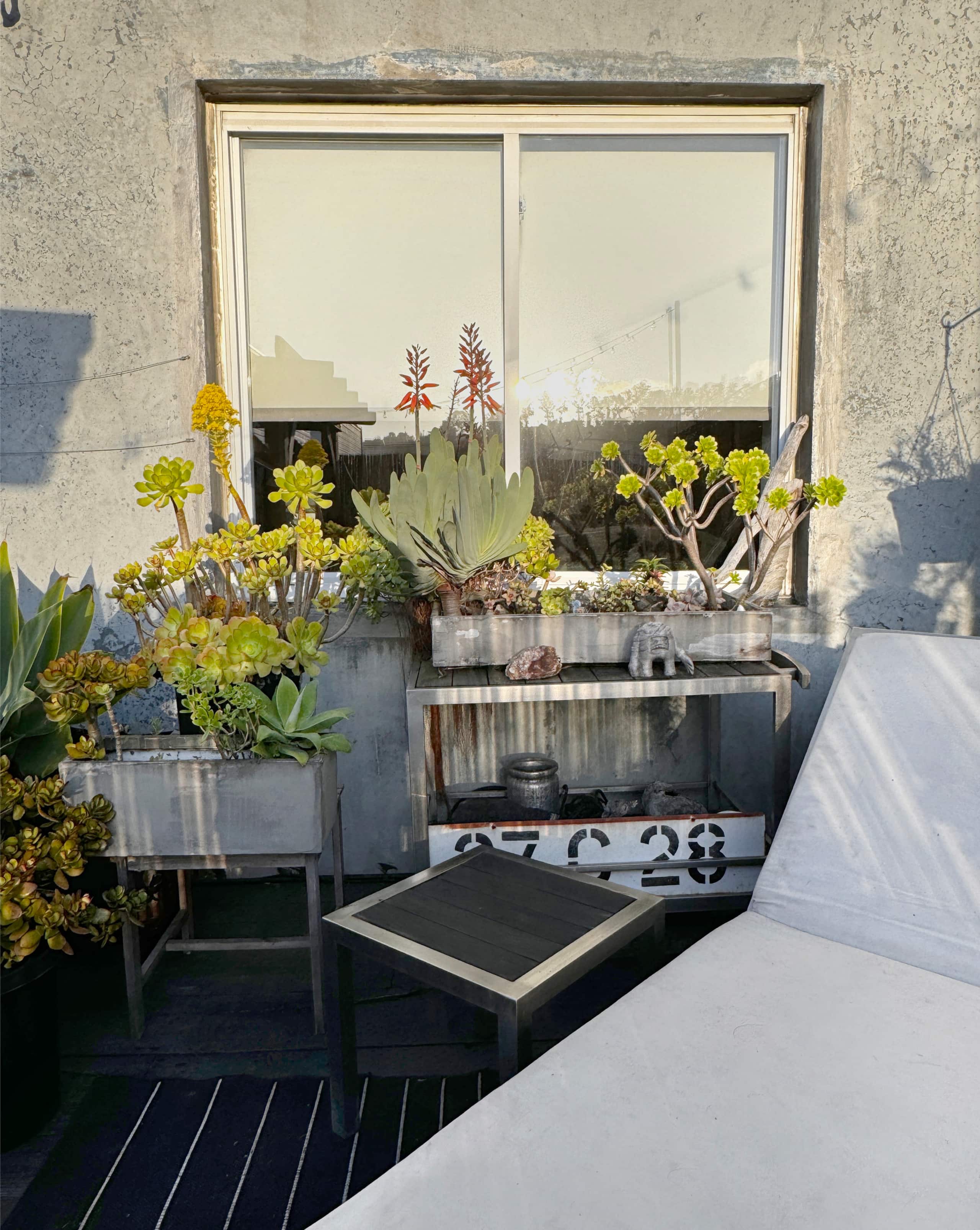 DOGPATCH Creative Flat - Image 11