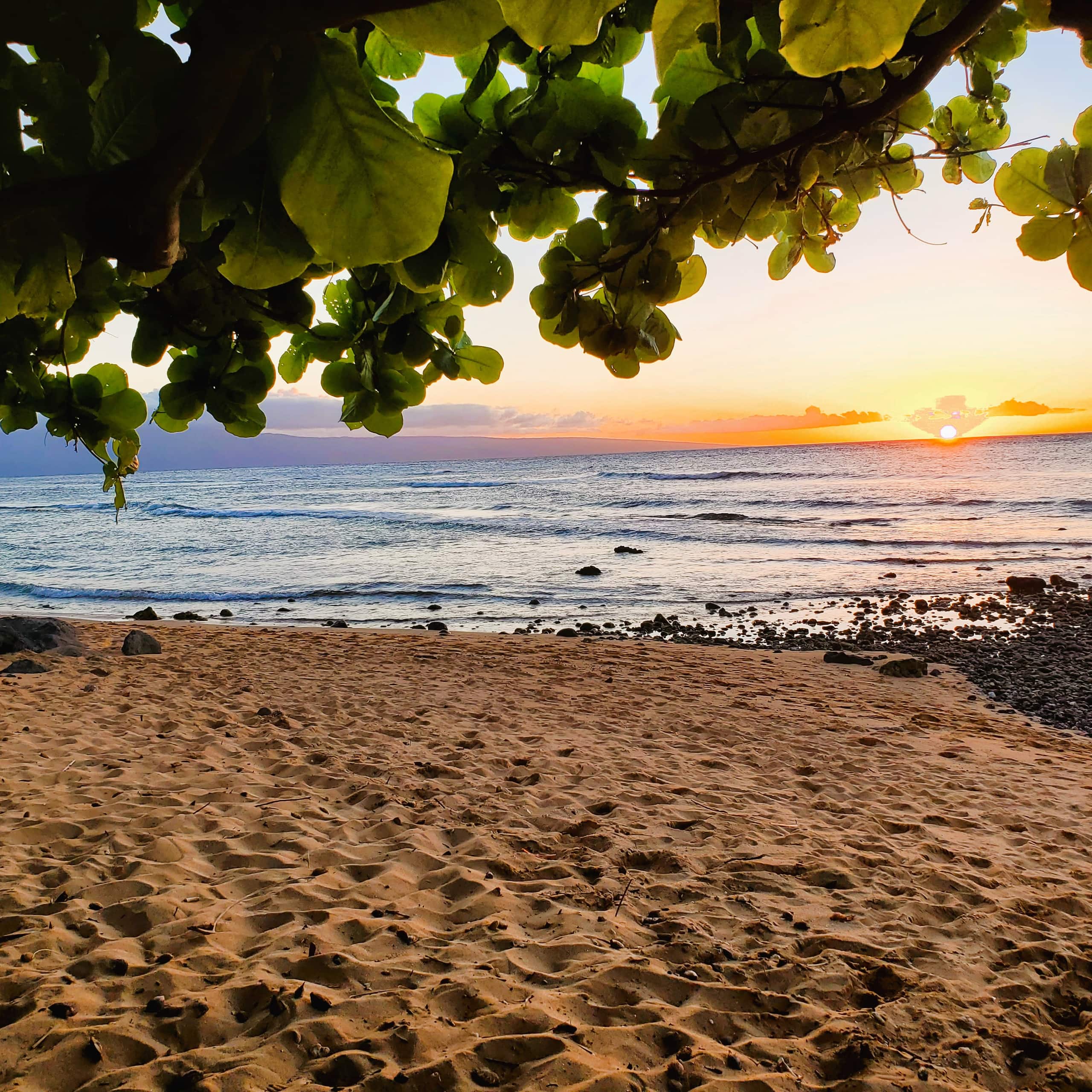 Condo in Lahaina · ★4.75 · 1 bedroom · 2 beds · 1 shared bath - Image 5