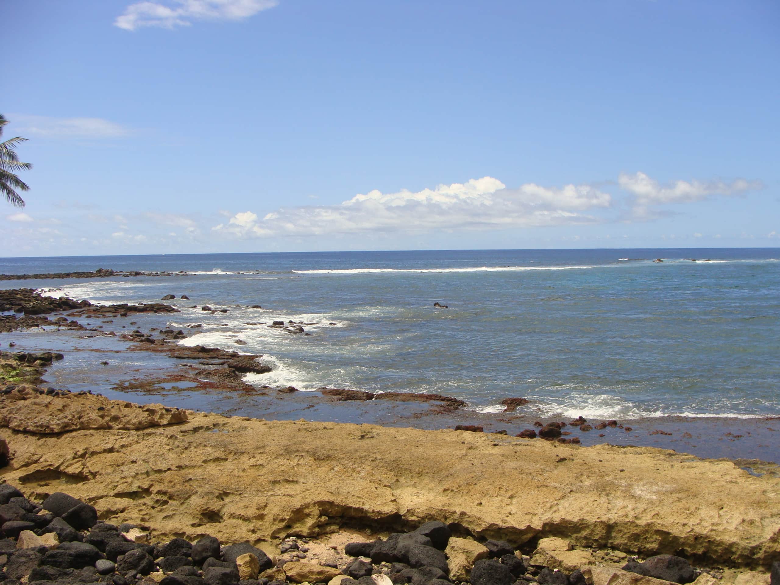 Condo in Koloa · ★4.85 · 1 bedroom · 1 bed · 1 bath - Photo 9