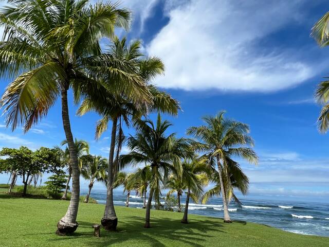Luxury Oceanfront Villa
Hacienda Pinilla
Tamarindo