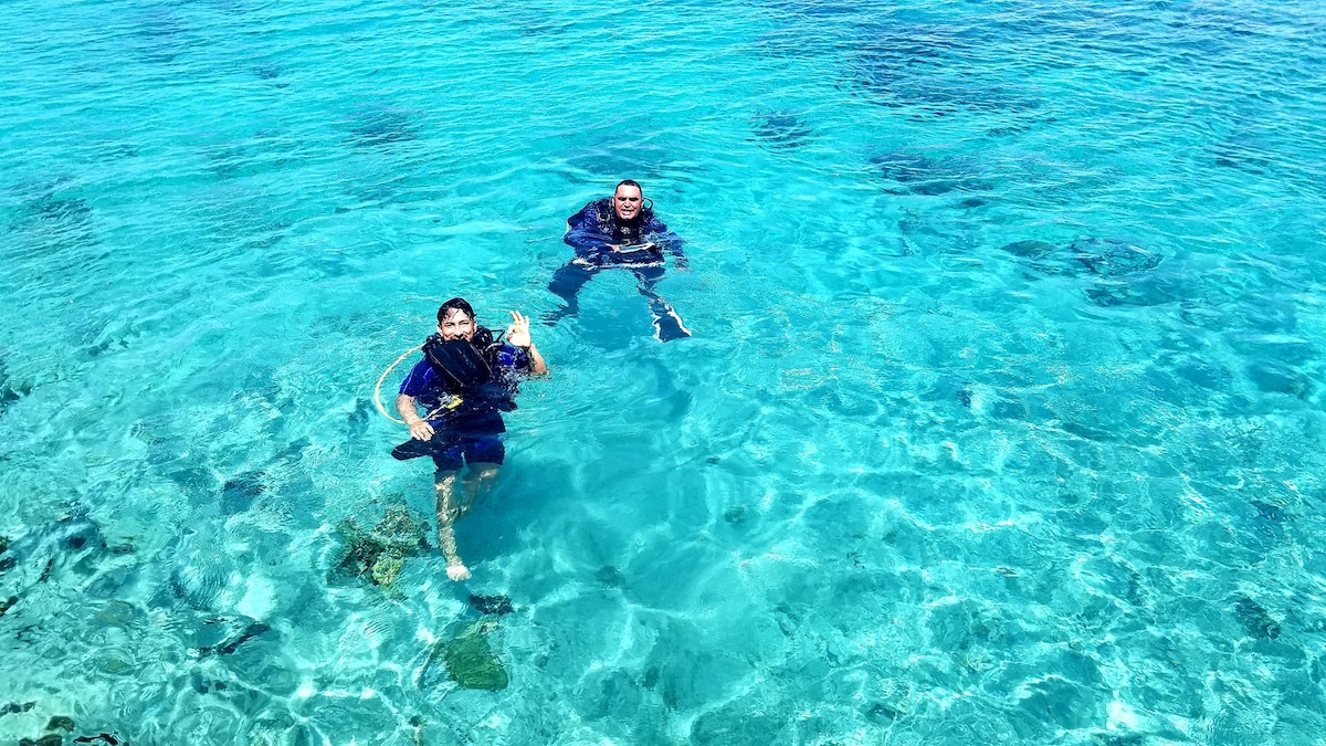 Two individuals are seen participating in snorkeling activities within clear turquoise waters. Sunlight reflects off the surface, creating a shimmering effect. The ocean floor is visible, showcasing a mix of rocks and marine life, enhancing the natural beauty of the aquatic environment.