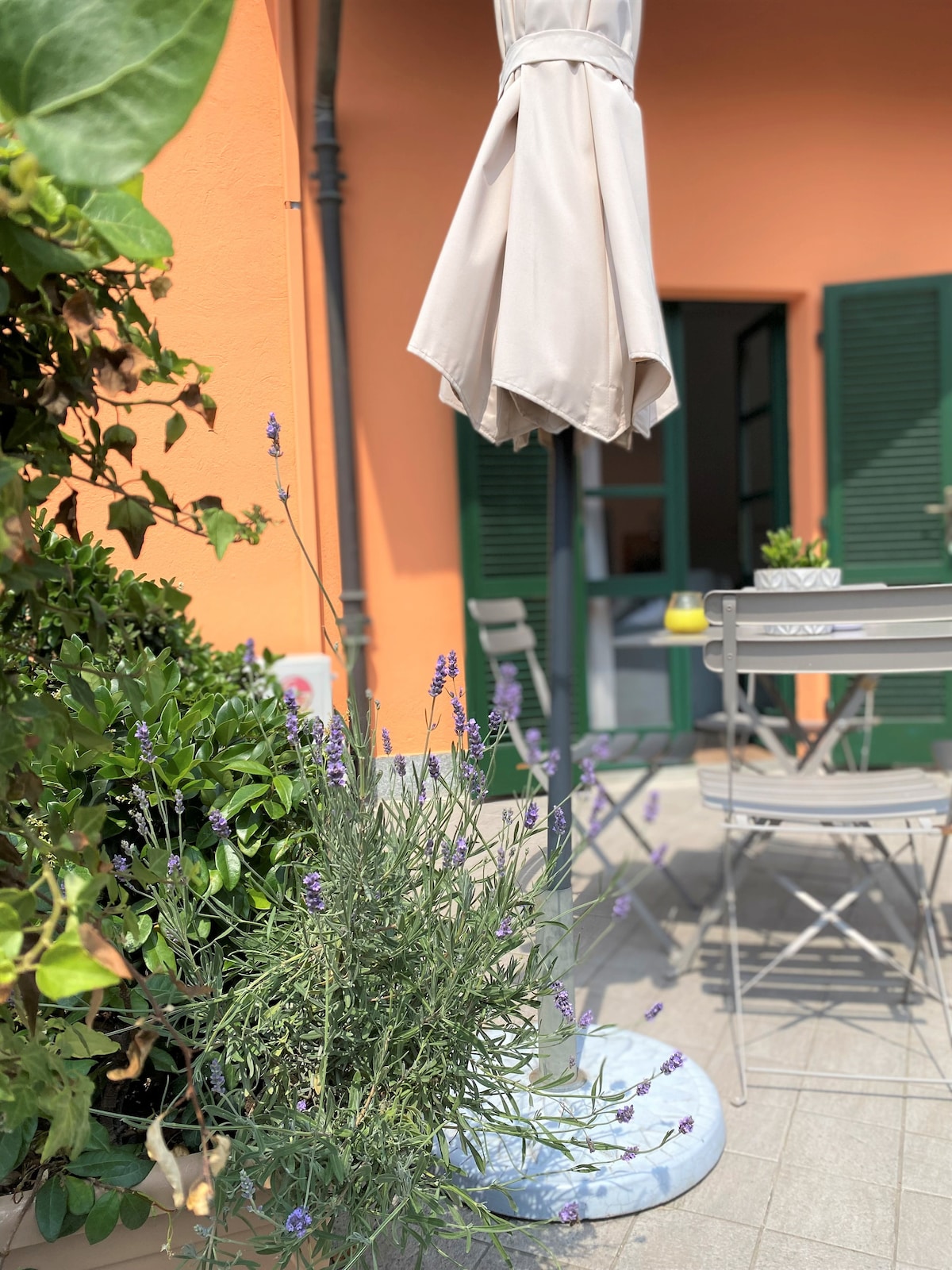 A serene outdoor space features a cream-colored umbrella positioned beside a small round table and two folding chairs. Lavender plants provide a touch of color, complemented by a warm orange wall and green shutters in the background.