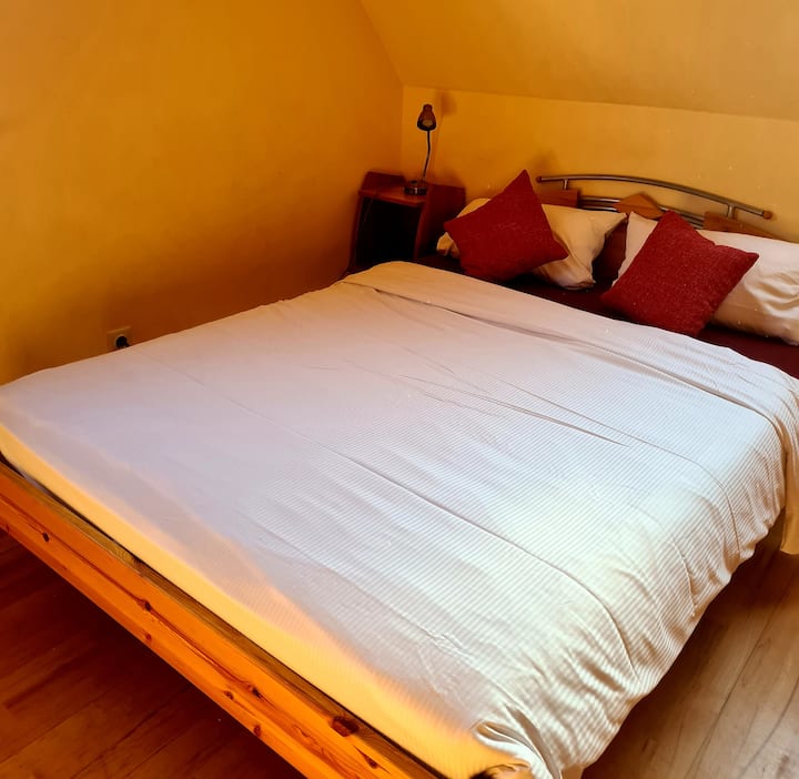 500  Ferienwohnungen in Dresden | Wohnungen und Häuser | Airbnb