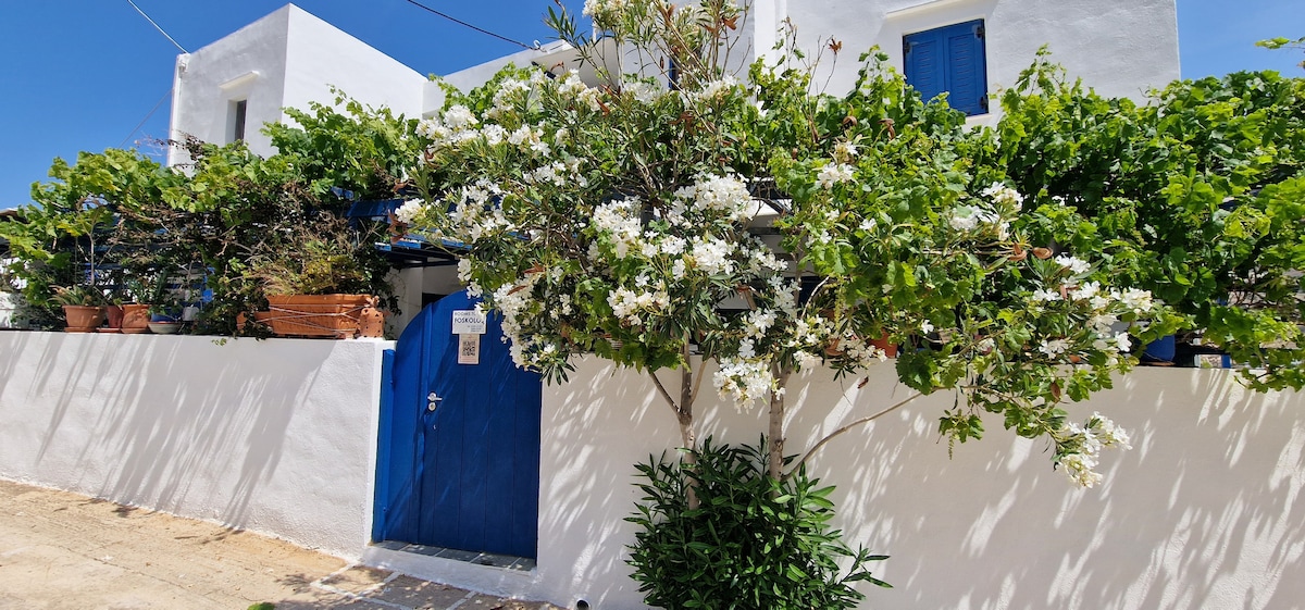 A white-walled building is framed by vibrant greenery and blooming white flowers. A blue door serves as the entrance, complemented by blue window shutters above. The setting is bathed in natural light, enhancing the inviting appearance of the exterior.