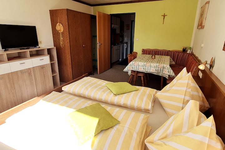 Apartmán C: obývacia izba, spálňa s manželskou posteľou 180 x 200, jedálenský kút, satelitná TV, slnečný balkón s výhľadom na hory snov s vlastnou kúpeľňou so sprchovacím kútom a samostatným WC