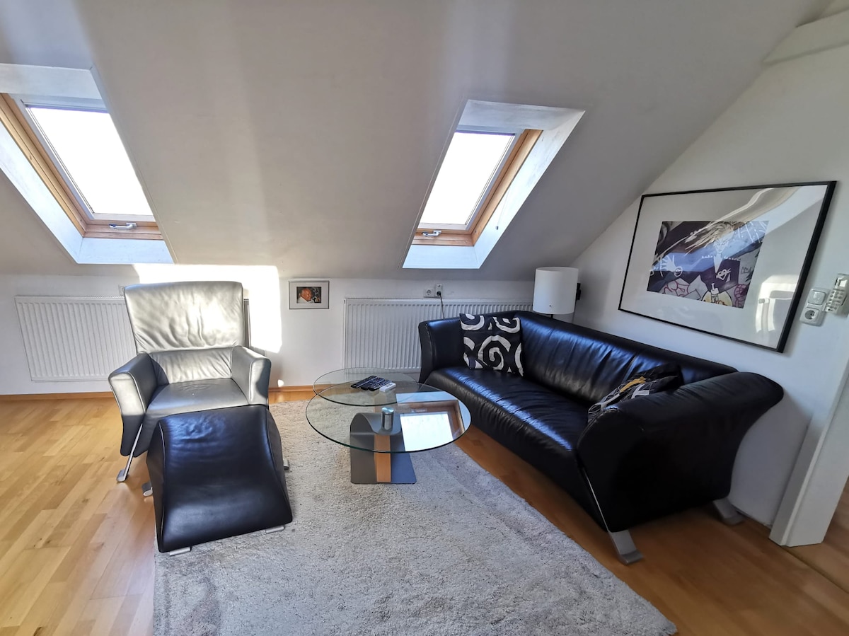A cozy living area features a sleek black leather sofa paired with a silver armchair and matching ottoman. A round glass table occupies the center, while natural light filters through two skylights above. A colorful art piece is displayed on the wall.