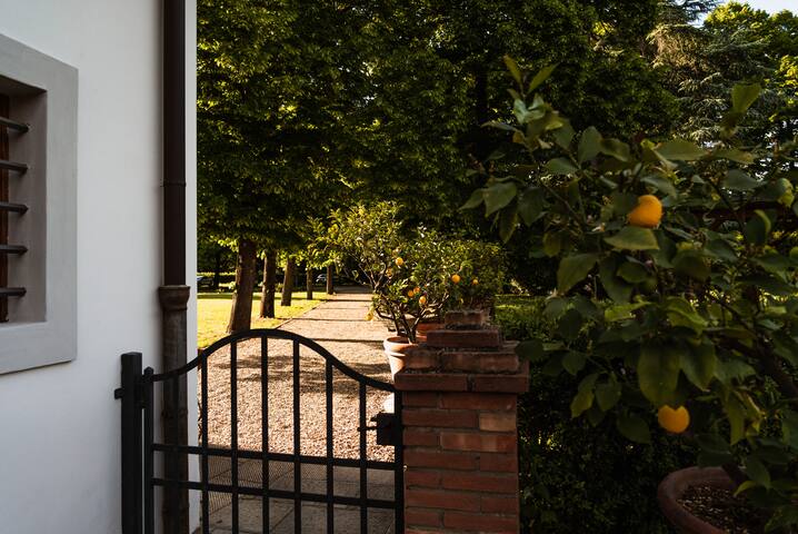 Home in Florence with pool and garden gallery image 4