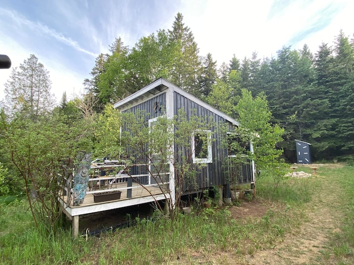 Cabin in the forest