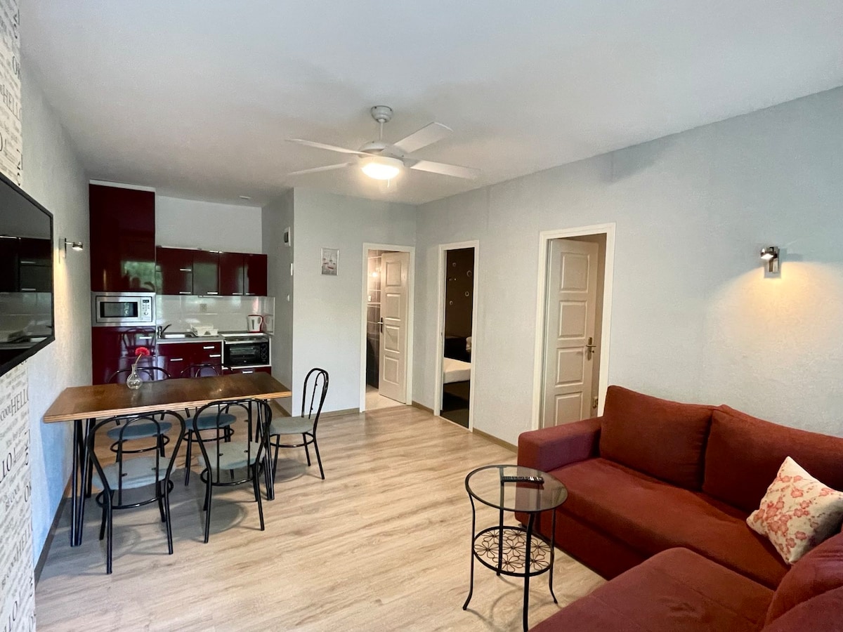 A bright living area features a red sofa and an adjacent dining table with black chairs. The kitchen area is visible, equipped with modern appliances. Light wood flooring complements the spacious layout, while a ceiling fan enhances airflow, contributing to a comfortable setting.