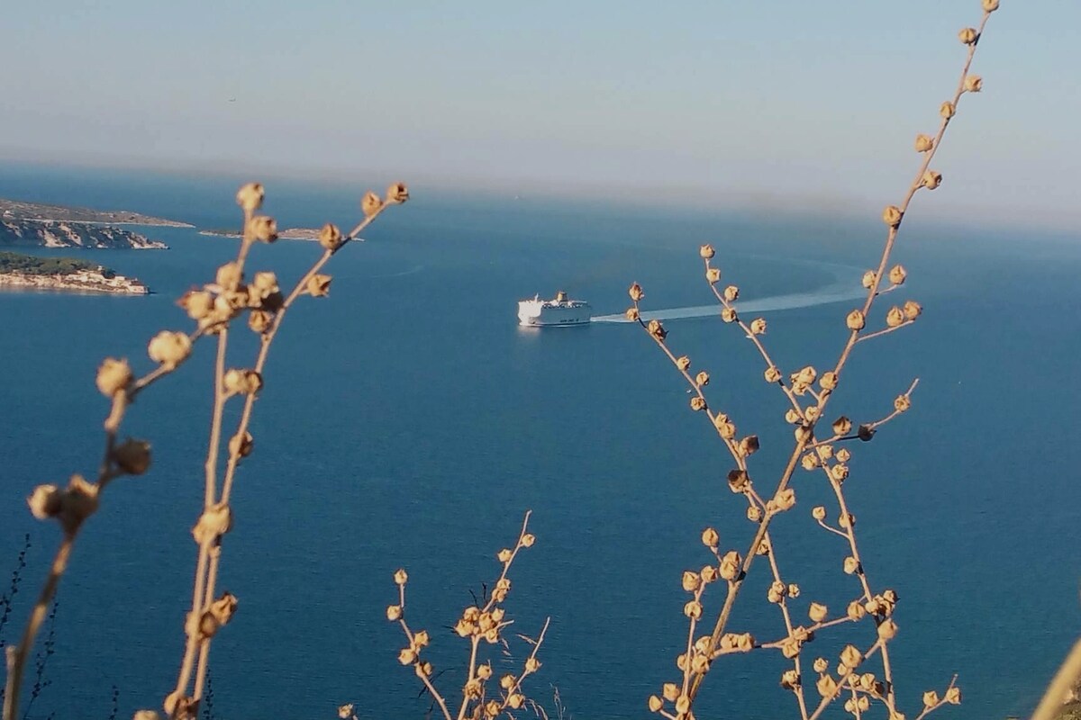 A serene sea view is captured, featuring a ferry gliding through the calm waters. In the foreground, delicate dried flora contrasts with the vibrant blue of the sea, creating a tranquil scene against the backdrop of distant coastal land.