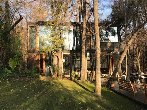 House in the woods