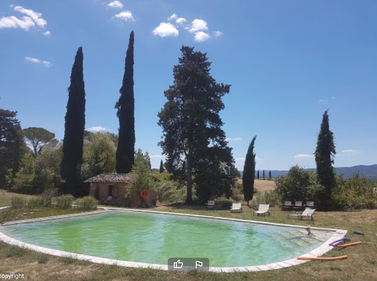 A natural pool, surrounded by tall cypress trees and expansive greenery, is visible under a clear blue sky. Sun loungers provide seating around the pool, with a small gazebo nearby, enhancing the serene outdoor setting.