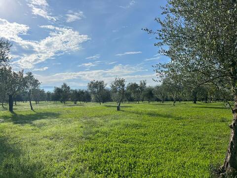 Apartment Firenze Countryside