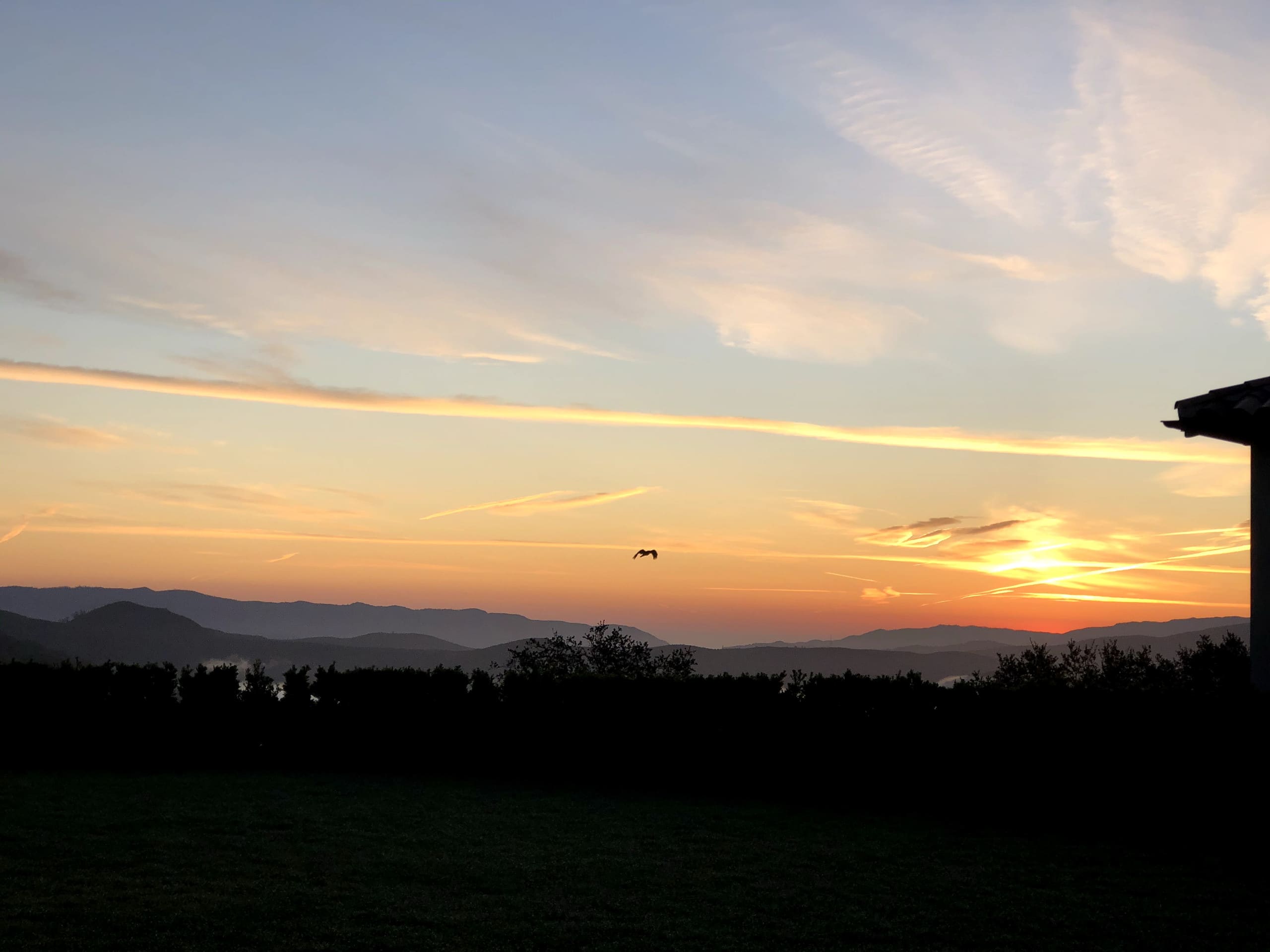 70-Acre Estate with 360 Vineyard Views - Photo 51