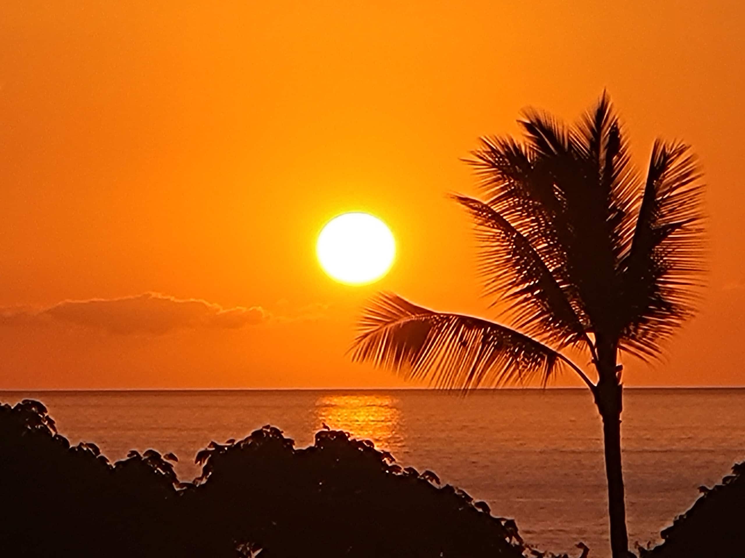 Condo in Kailua-Kona · ★4.9 · 2 bedrooms · 3 beds · 2 private baths - Image 30