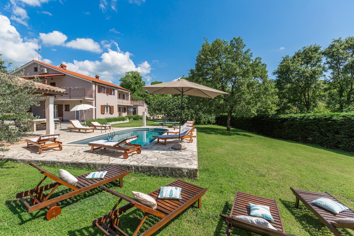 A sunny outdoor area features a private swimming pool surrounded by a well-maintained lawn. Comfortable sun loungers are arranged beside the pool, with a large umbrella providing shade. The house is visible in the background, framed by trees and a clear blue sky.