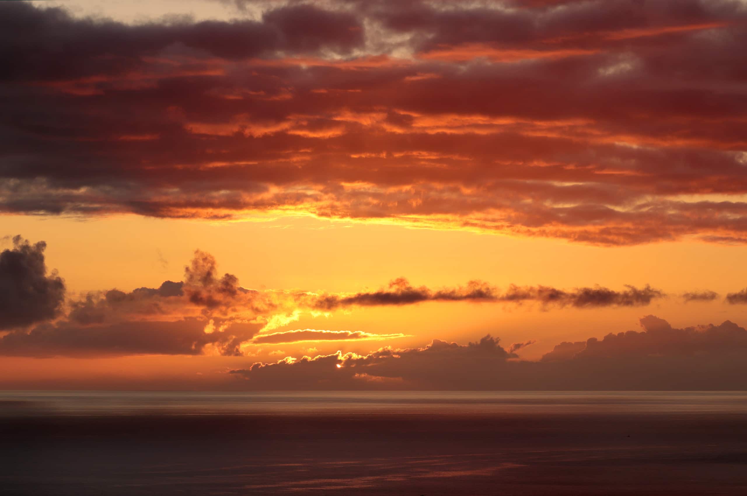 Guesthouse in Kailua-Kona · ★4.96 · 2 bedrooms · 3 beds · 1.5 private baths - Image 13