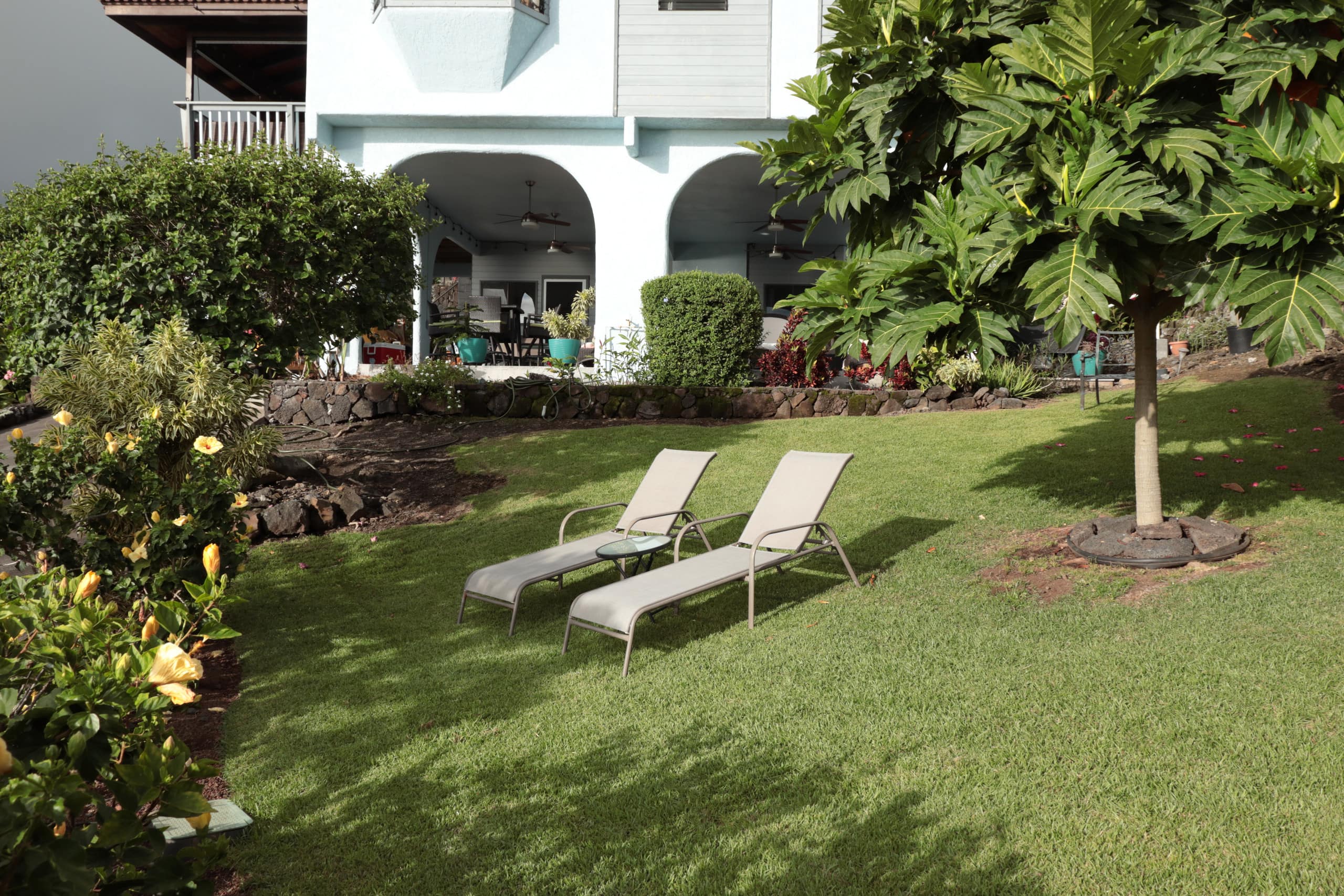 Guesthouse in Kailua-Kona · ★4.96 · 2 bedrooms · 3 beds · 1.5 private baths - Image 4