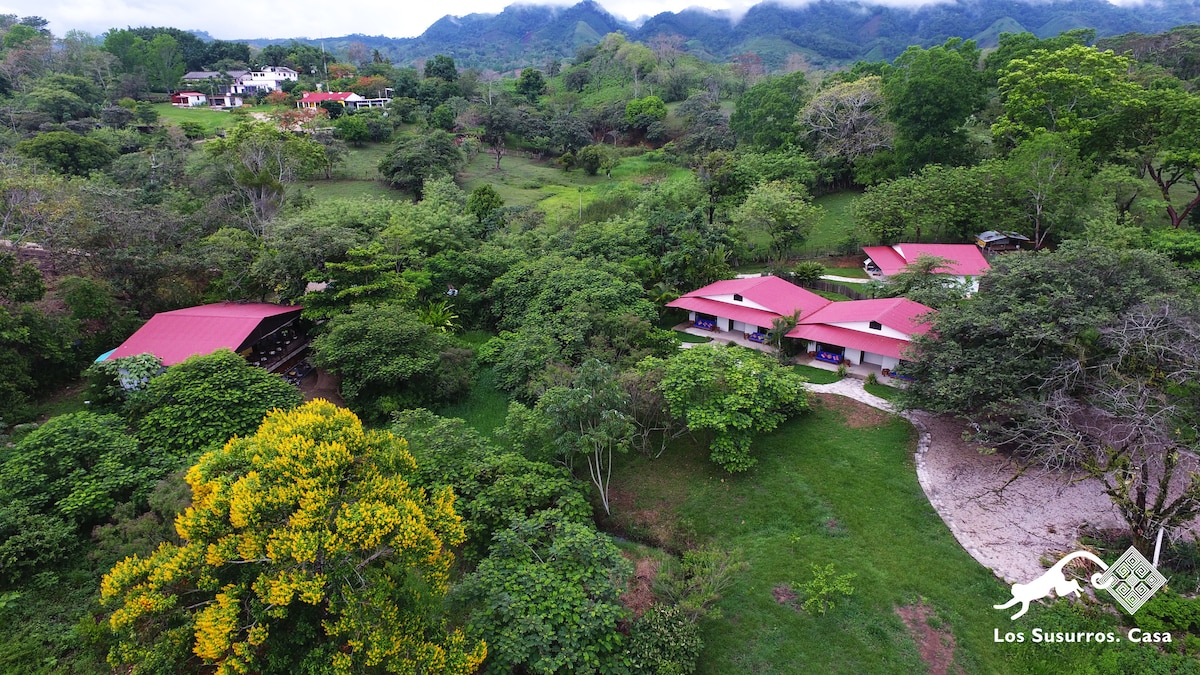 Aerial view of a tranquil landscape with three single-story buildings featuring red roofs, surrounded by lush greenery and trees. Rolling hills can be seen in the background, enhancing the natural setting of the property.