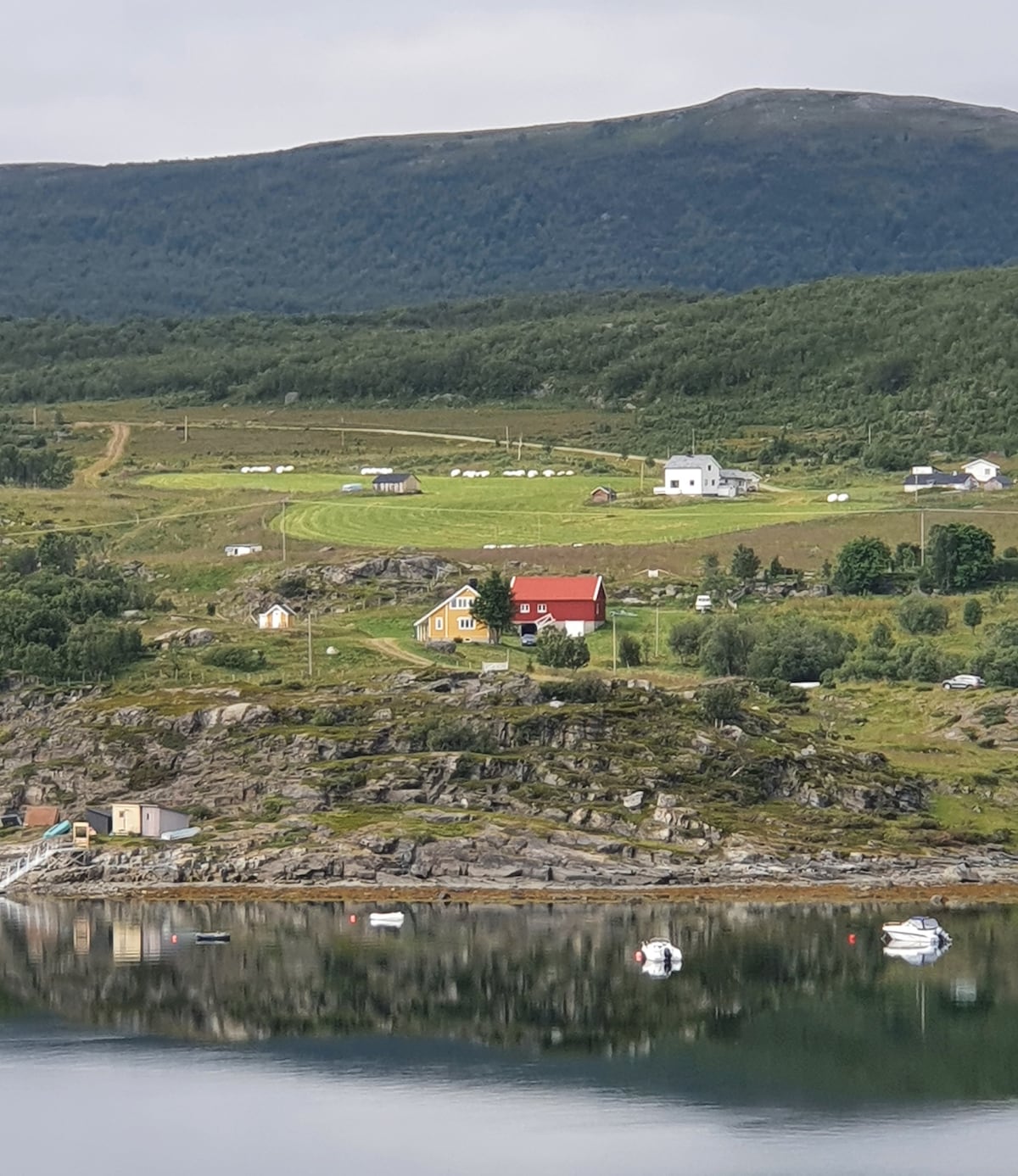 A serene landscape is depicted, showcasing a collection of quaint houses scattered across green hills. The red-roofed house stands out among the greenery, with the reflection of the scene visible on calm waters below. Mountains rise gently in the background, enhancing the peaceful setting.