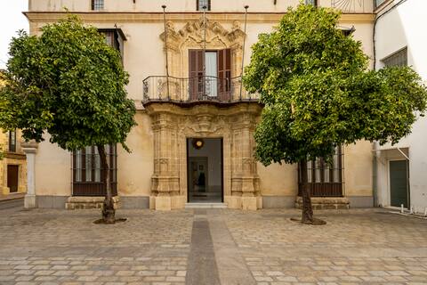 PALACIO JEREZ DE LA BORDER BORDER WITH PRIVATE POOL