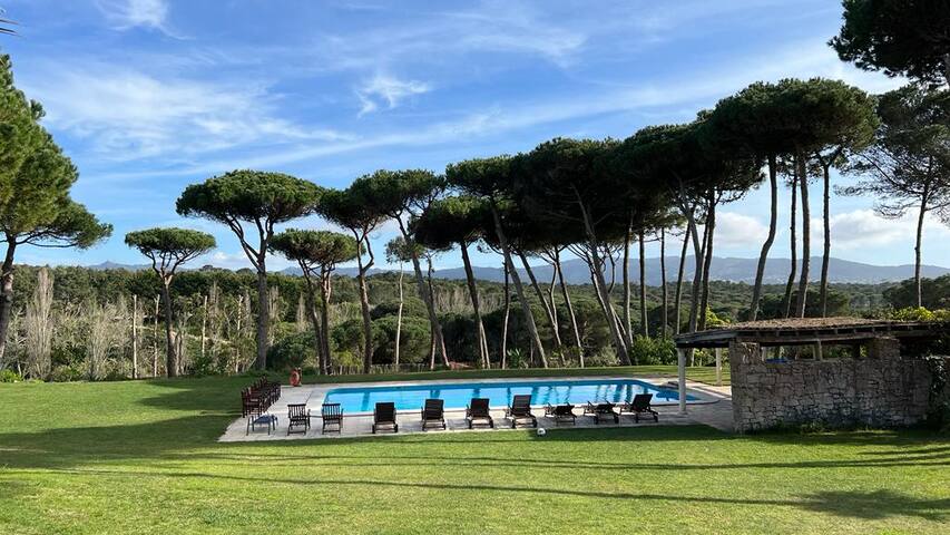 Villa with Luxury Garden in Sintra gallery image 5