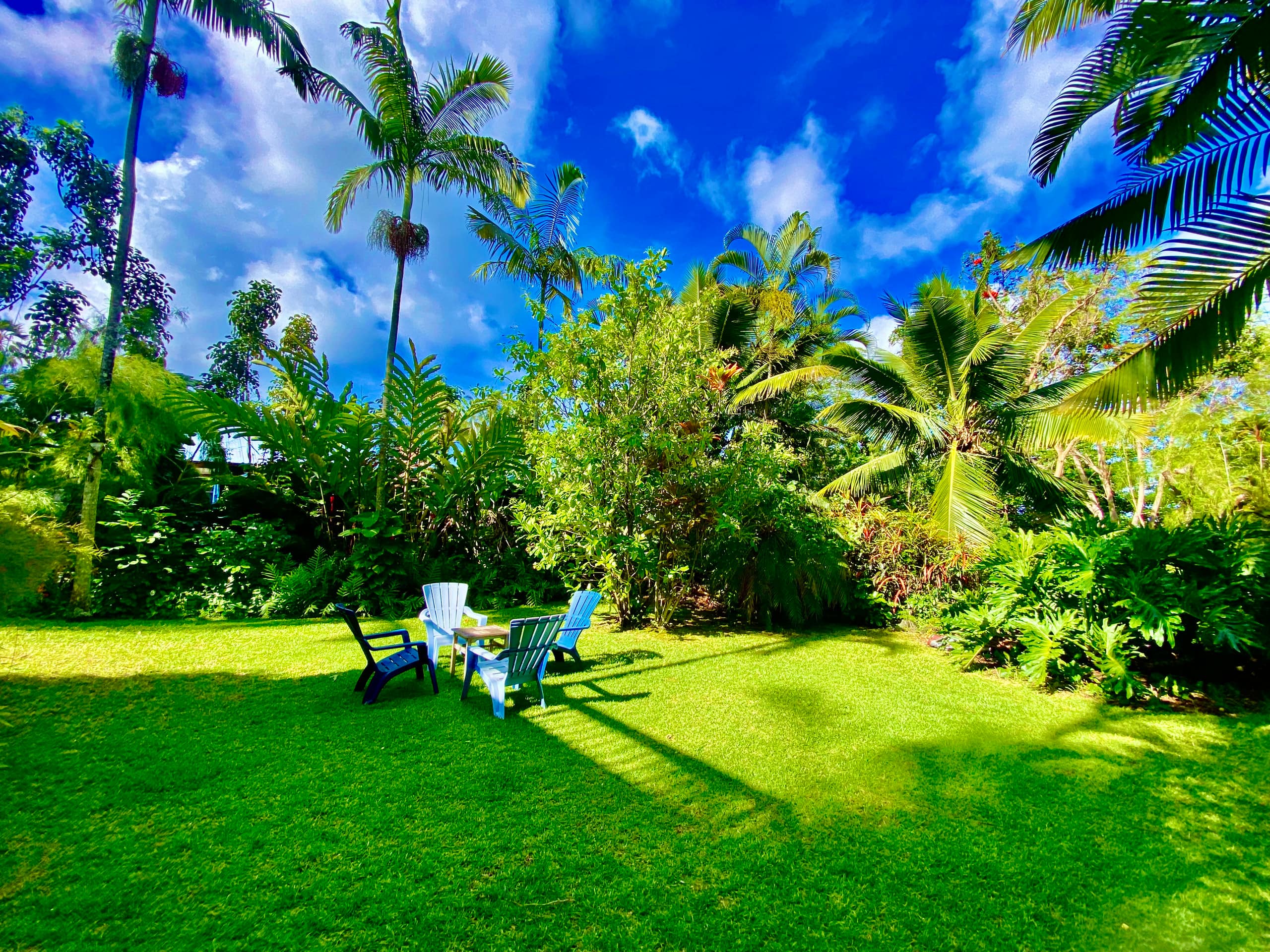 Gated Tropical Retreat near Kailua Kona and Ocean. - Image 15