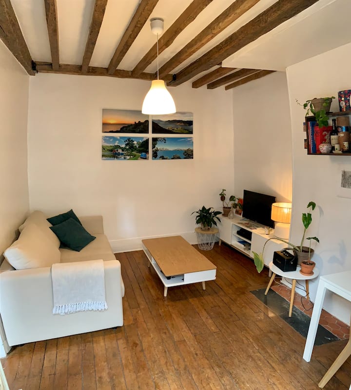 Charming Flat Central Paris 1 - Louvre - Trocadéro