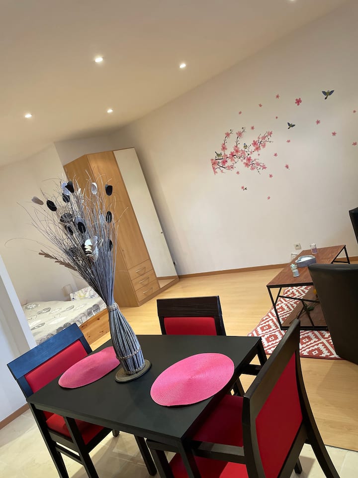 Studio douillet Villa Impérialis Coeur de Colmar Appartements à