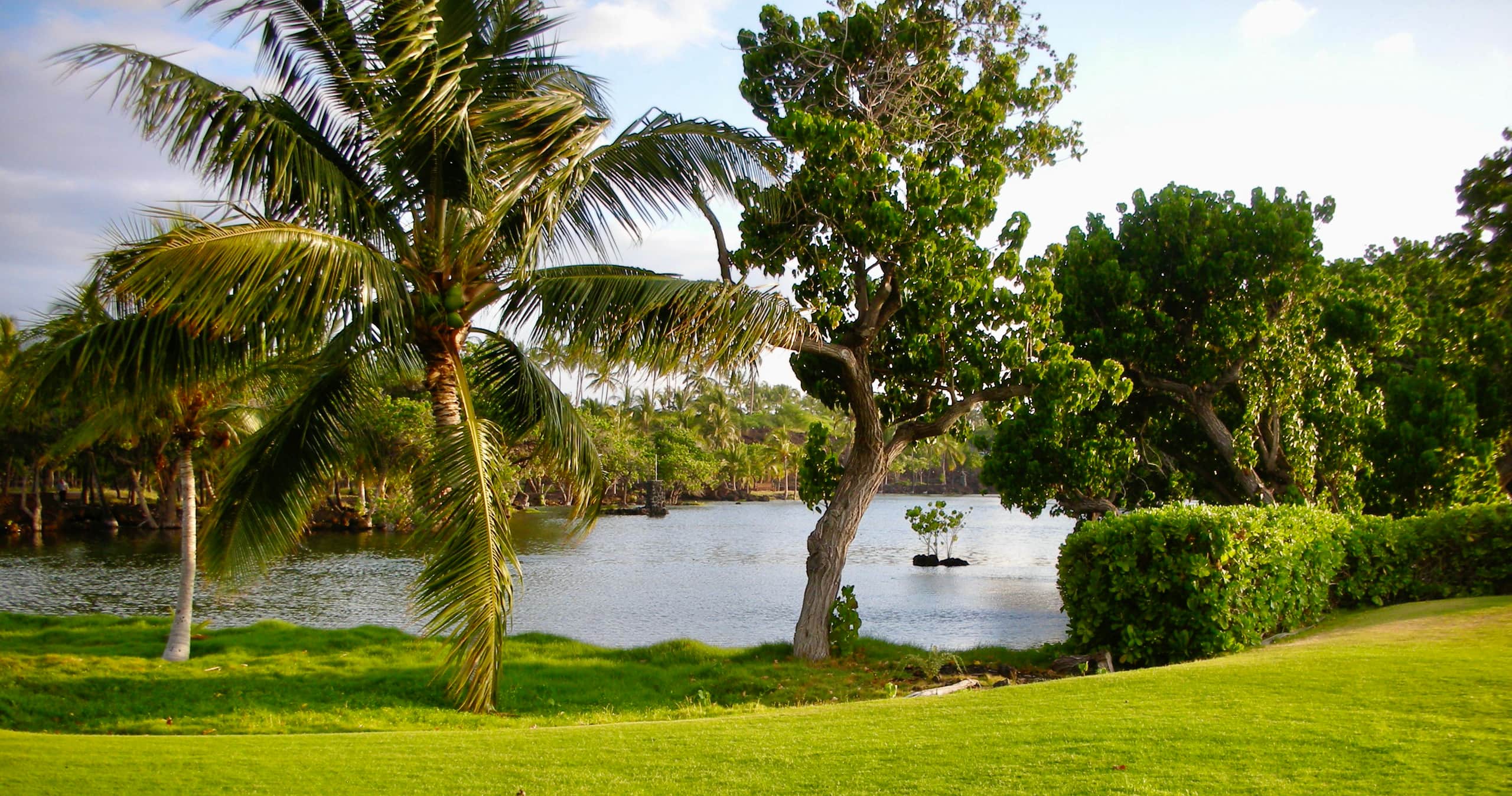 Condo in Waimea · ★4.97 · 2 bedrooms · 3 beds · 2 baths - Image 51
