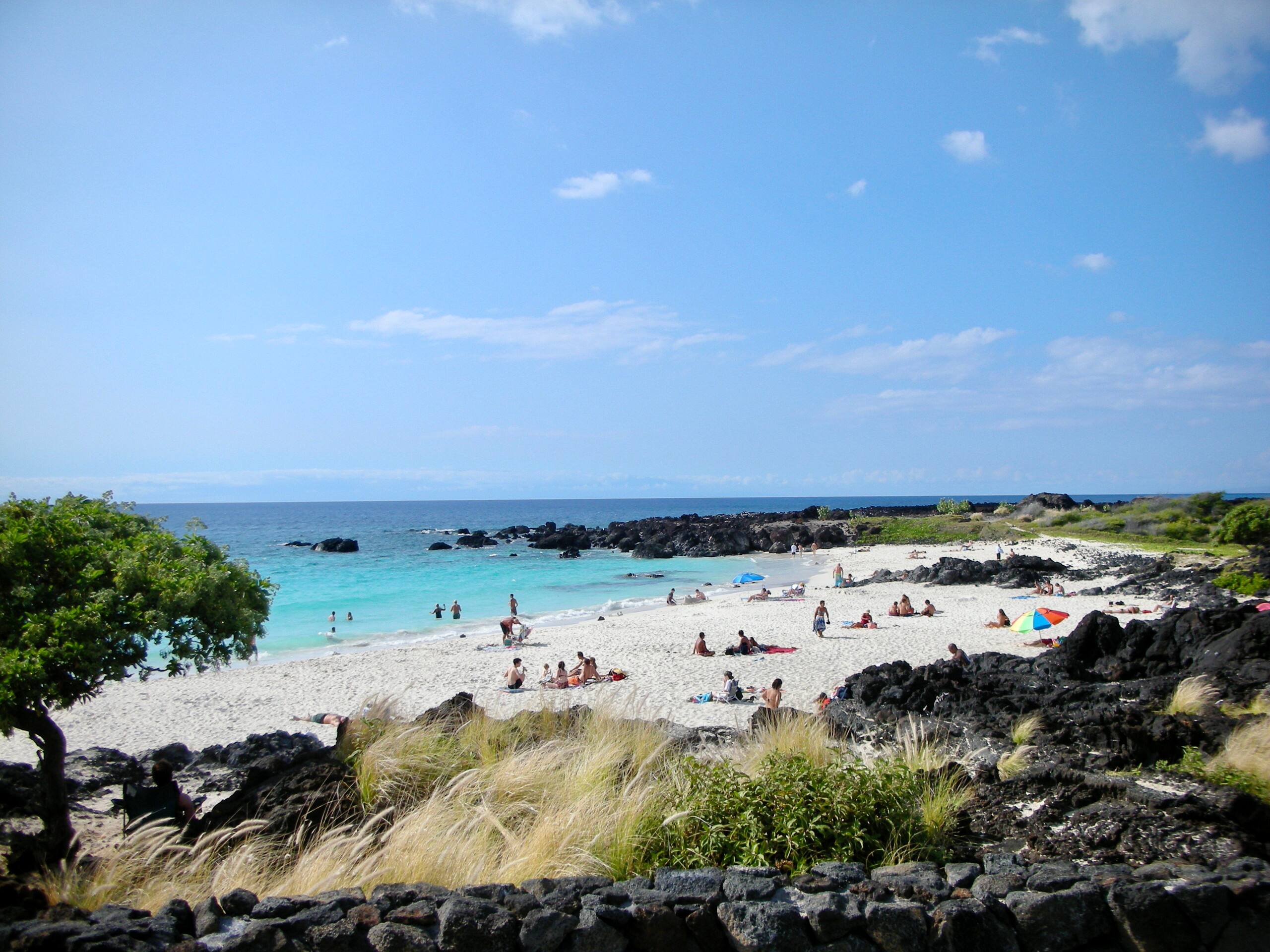 Condo in Waimea · ★4.97 · 2 bedrooms · 3 beds · 2 baths - Image 58
