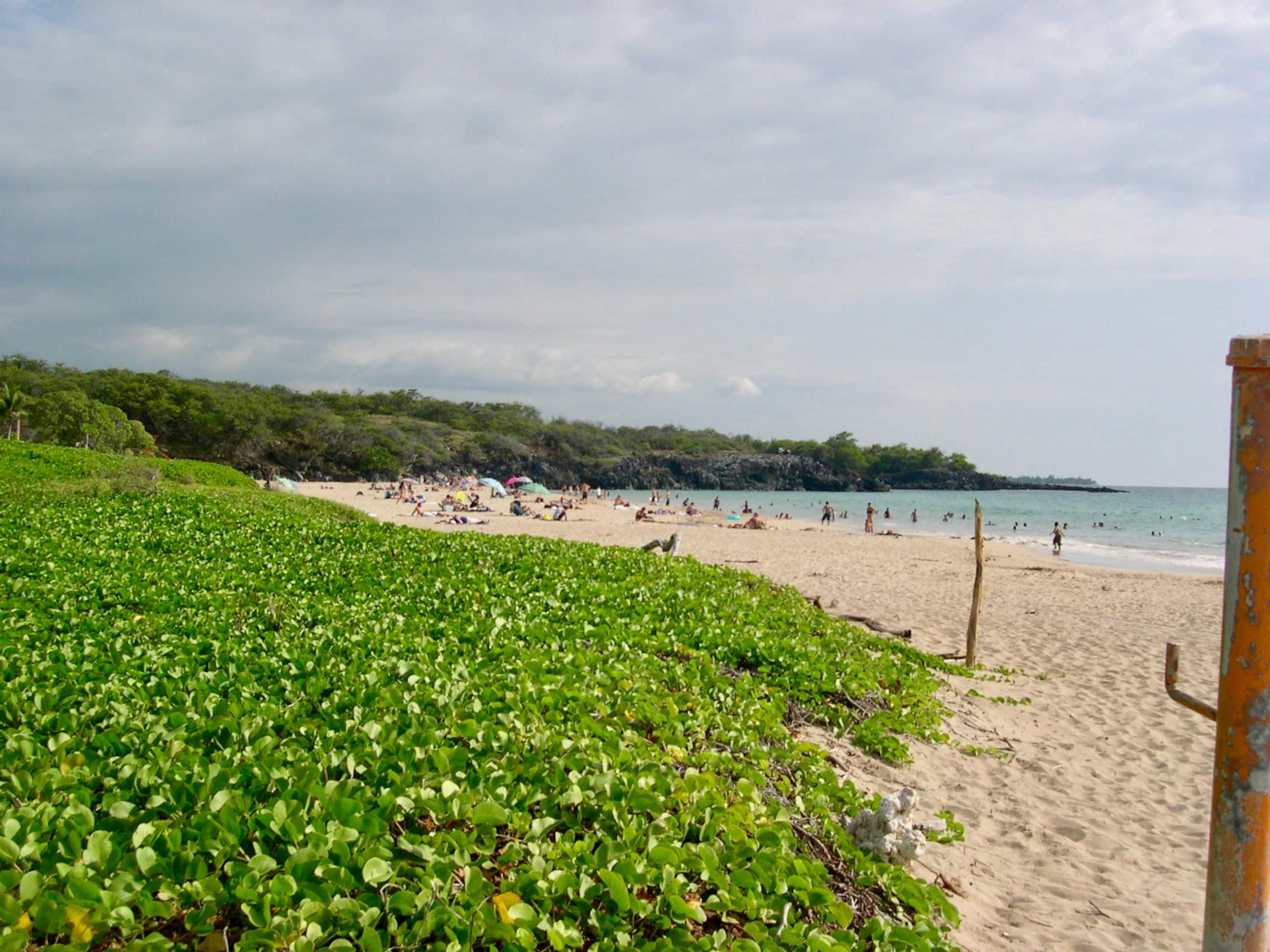 Condo in Waimea · ★4.97 · 2 bedrooms · 3 beds · 2 baths - Image 57