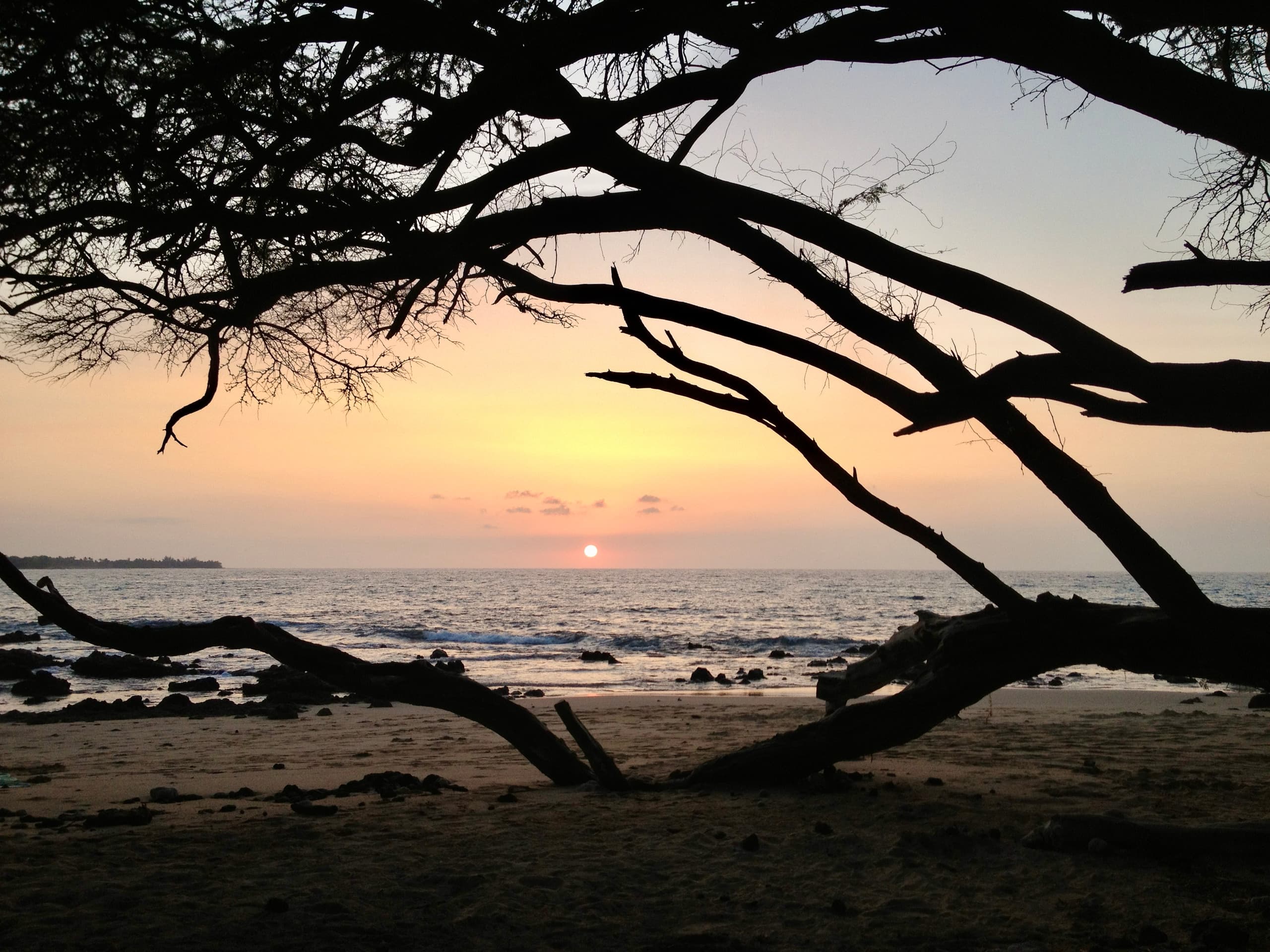 Condo in Waimea · ★4.97 · 2 bedrooms · 3 beds · 2 baths - Image 55