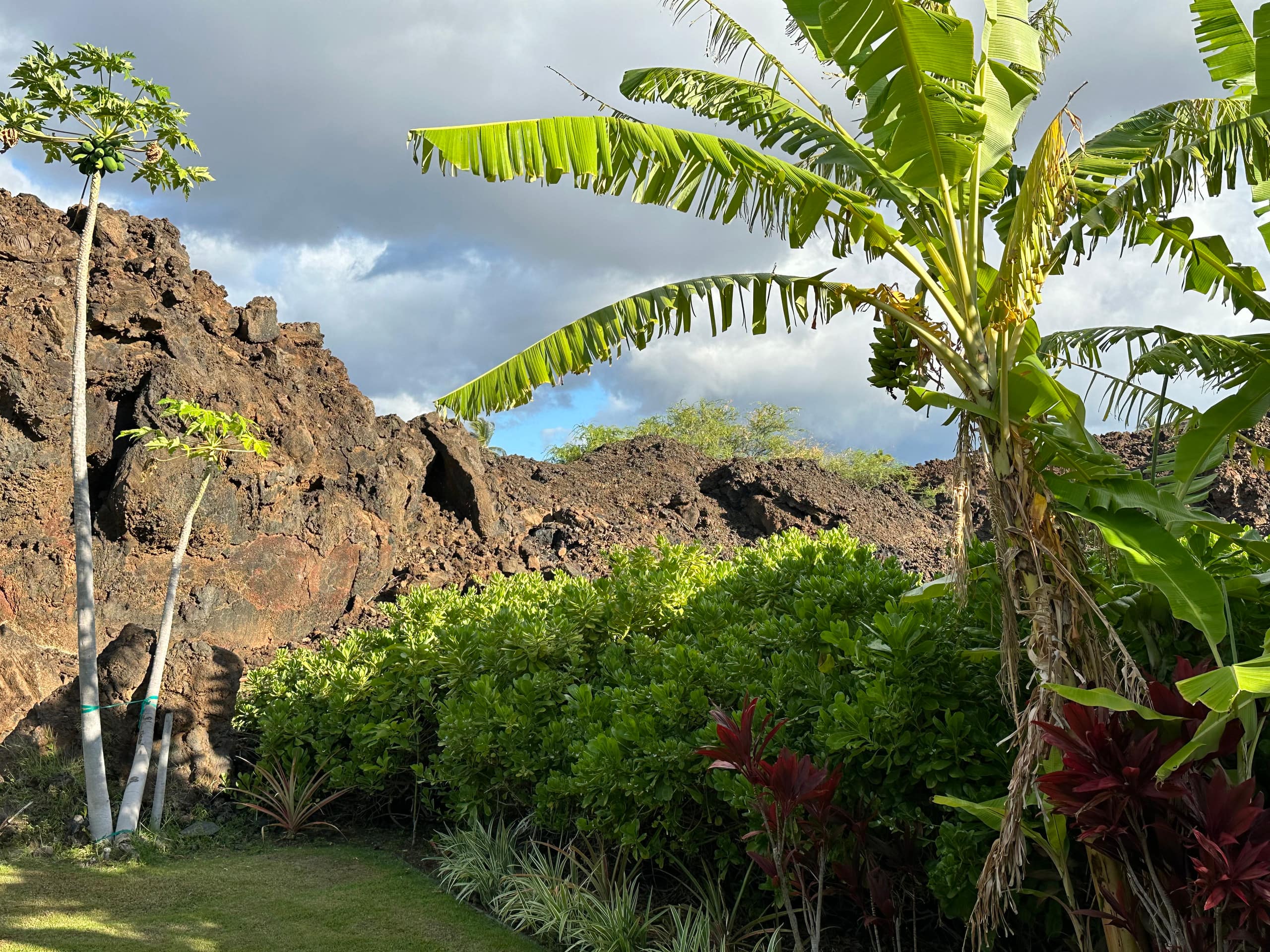 Condo in Waimea · ★4.97 · 2 bedrooms · 3 beds · 2 baths - Image 8