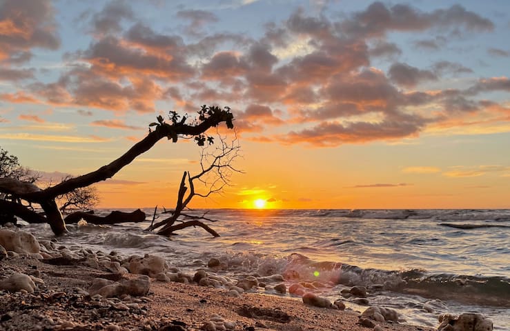 Puako Tropical Garden Retreat – Across from Beach