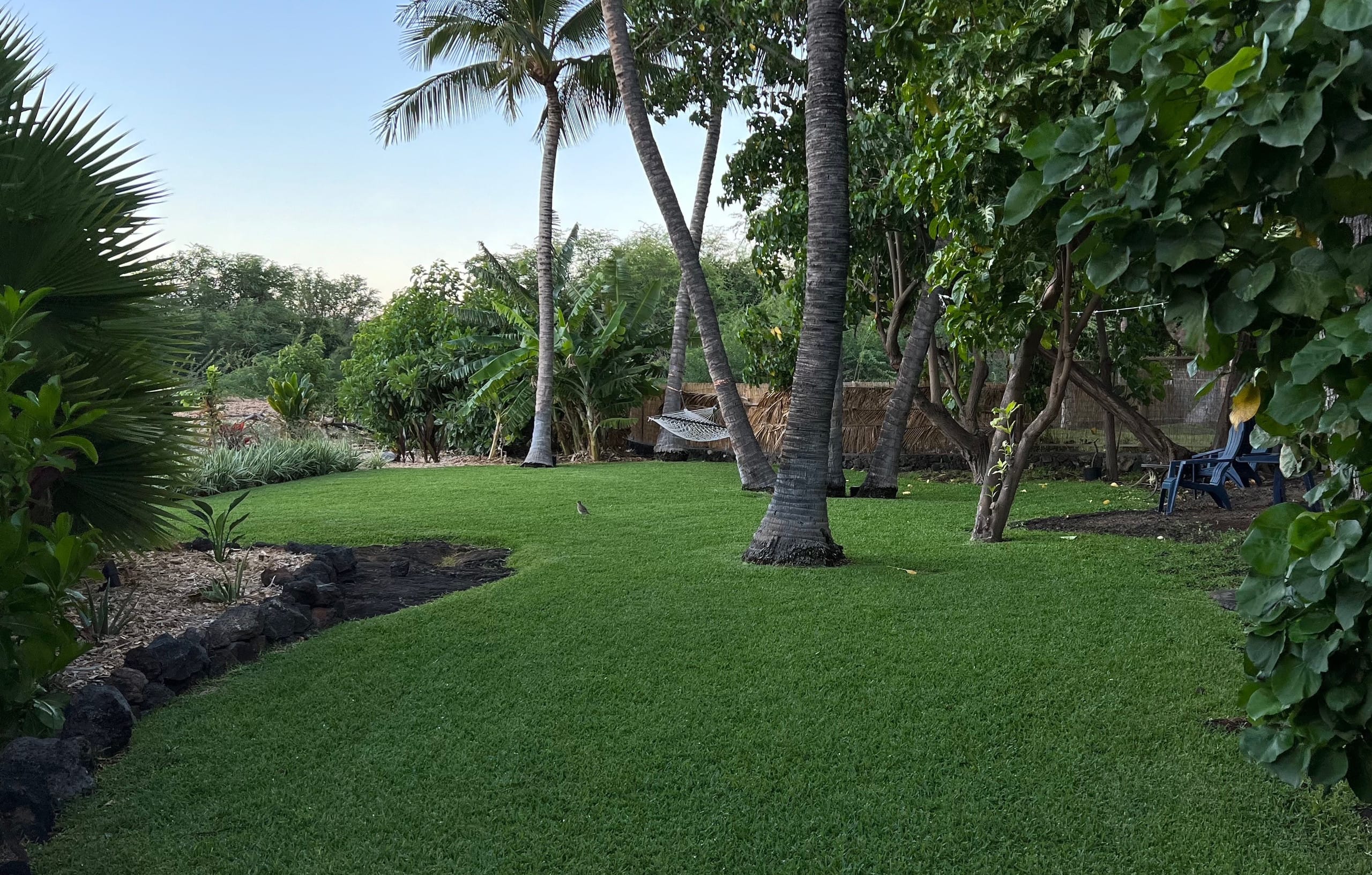 Home in Waimea · ★4.9 · 3 bedrooms · 3 beds · 2.5 baths - Image 5