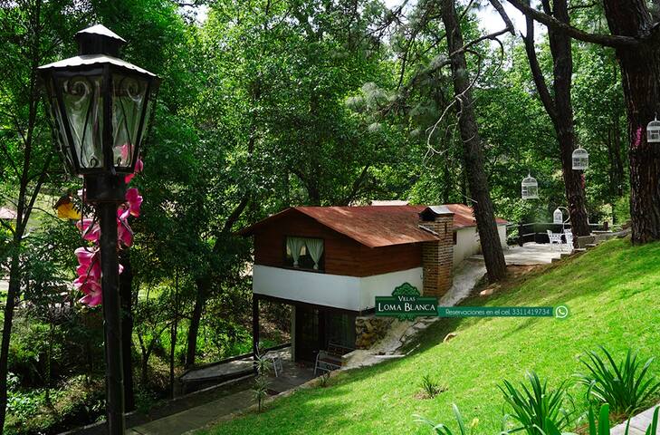 Villas Loma Blanca managed Airbnb listing 3