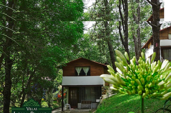 Villas Loma Blanca managed Airbnb listing 3