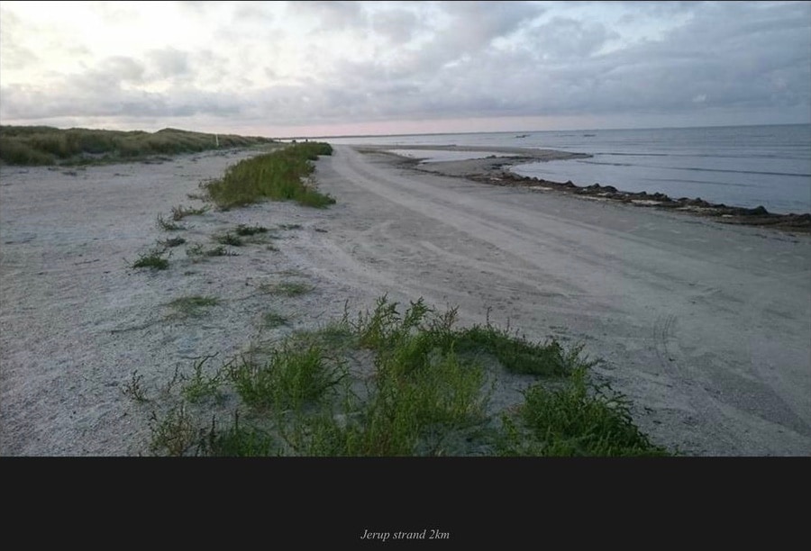 A serene coastal landscape shows a wide sandy area leading to the calm waters of the ocean. Sparse vegetation lines the sandy stretch, with low greenery gently swaying under a cloudy sky. The horizon blends into the water, creating a tranquil atmosphere.