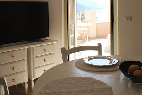 A new spectacle of nature (The Suite)