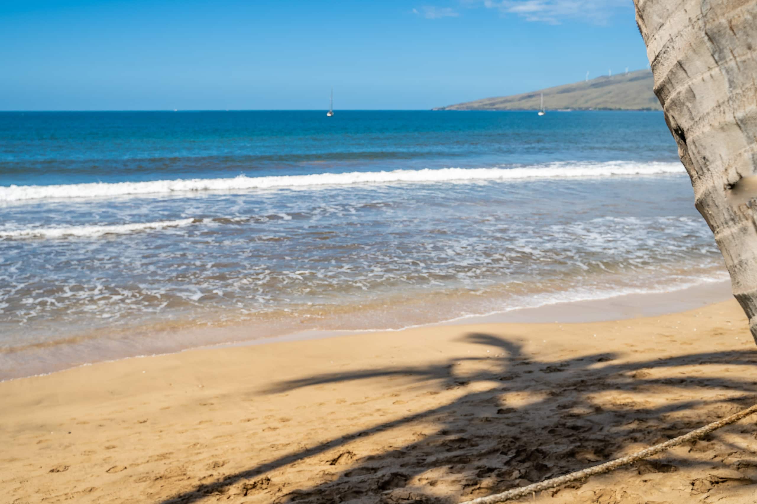 Awesome Oceanfront Condo KR207 - Image 18