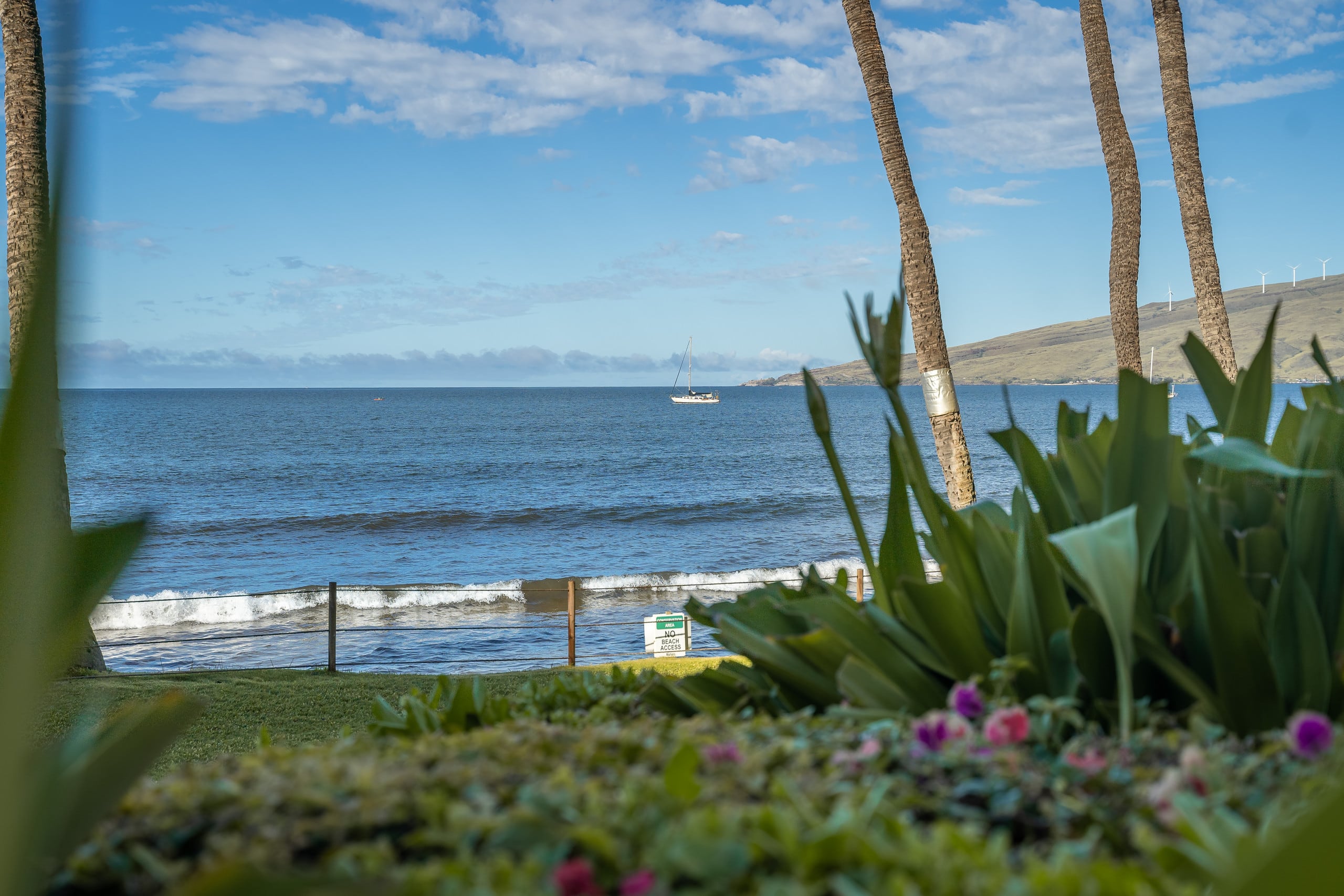 Awesome Oceanfront Condo KR207 - Image 2