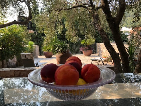 Vila Markovic Sutomore apartment with garden