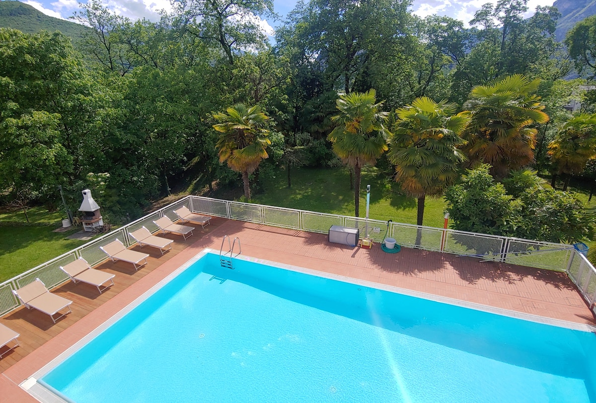An outdoor swimming pool is framed by a wooden deck, featuring several lounge chairs arranged alongside. Lush greenery surrounds the area, with palm trees in the background. A barbecue area is visible, complementing the inviting and spacious outdoor setting.